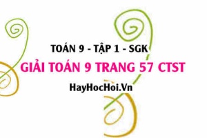 Giải Toán 9 trang 57 tập 1 Chân trời sáng tạo SGK
